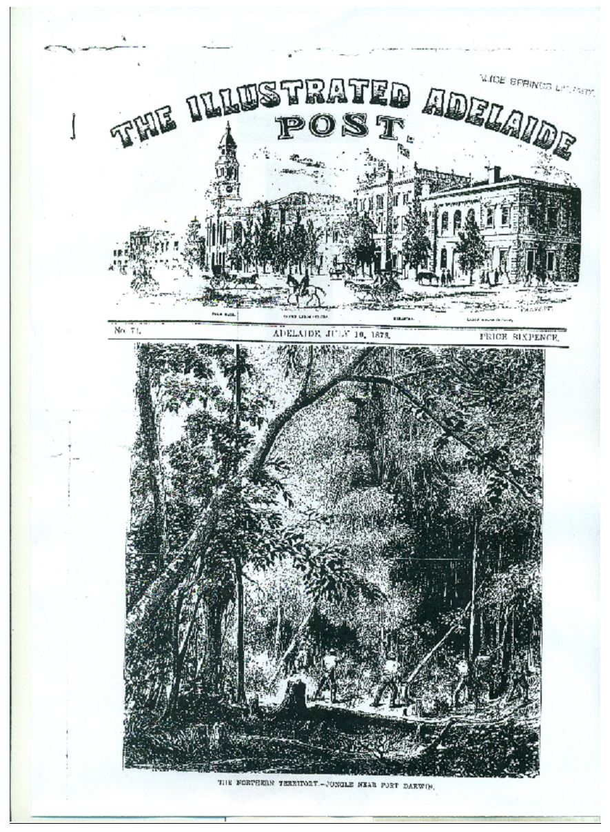 Figure 1. ?The Northern Territory ? Jungle near Port Darwin?