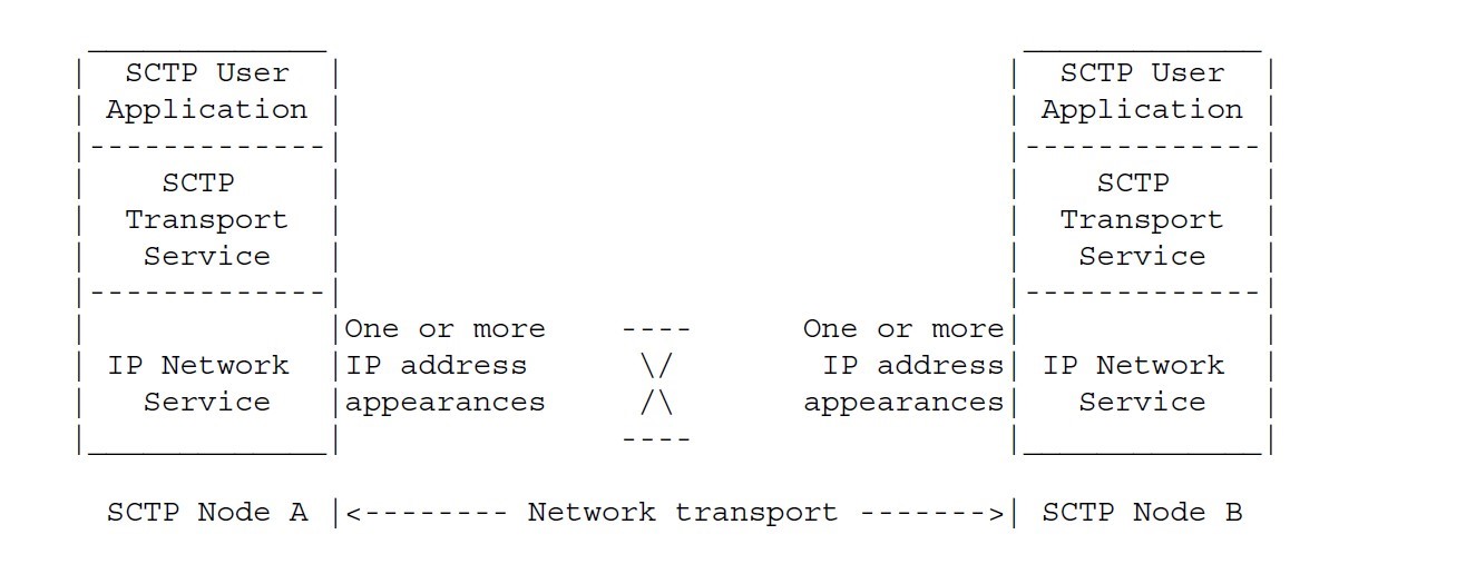 Figure 2. The structure of the SCTP