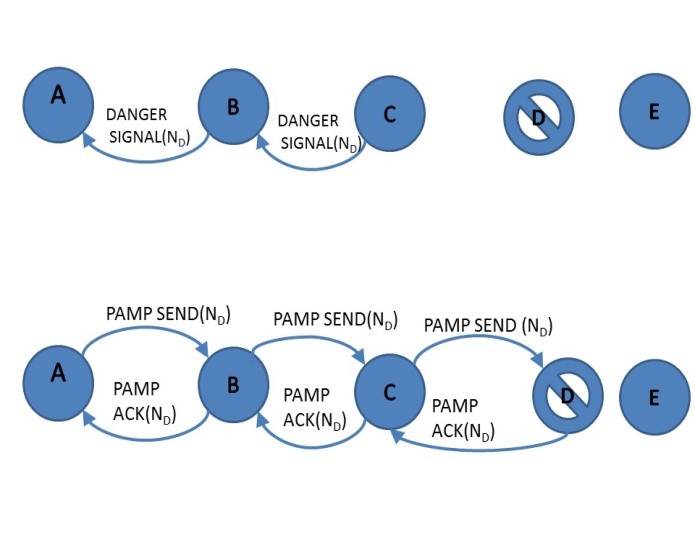Figure 2. PAMP to confirm attacker Figure 2. PAMP to confirm attacker