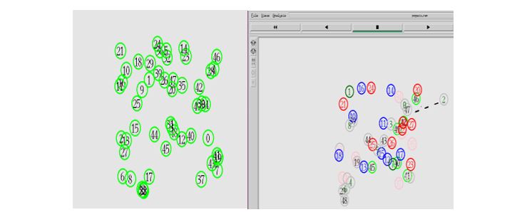 Figure 2. (a) Node deployment; and (b) Cluster formation and CH selection.